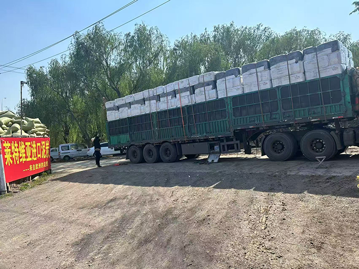 ������|�b܇�l؛11